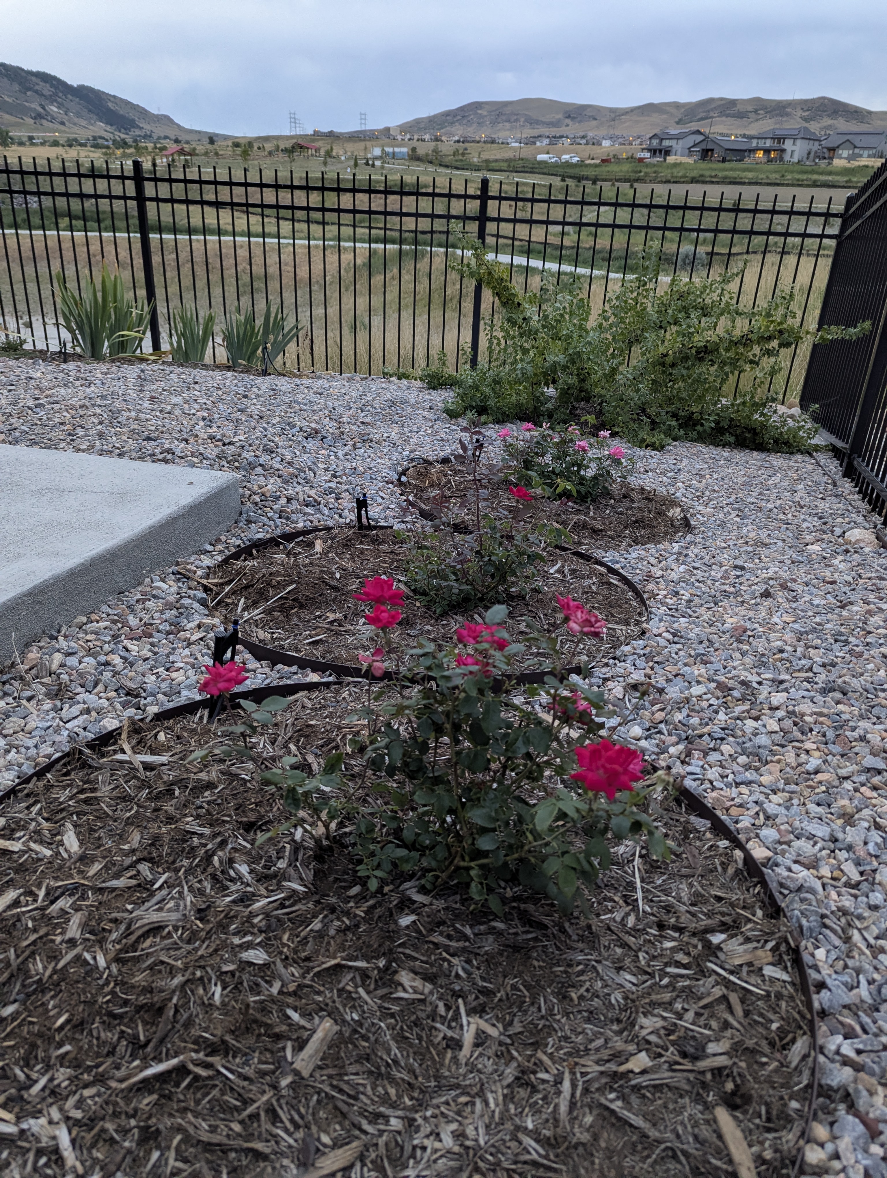 Garden, Morrison, Colorado